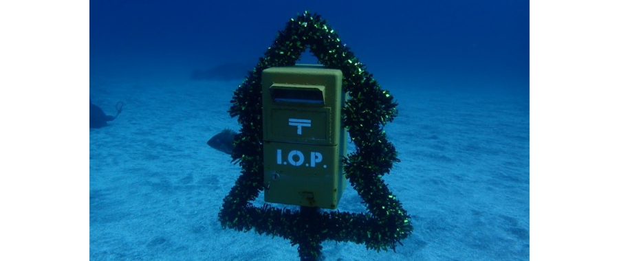pb230004.jpg